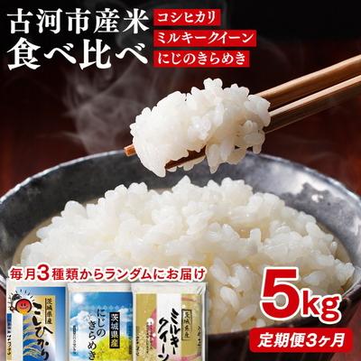 ふるさと納税 古河市 【定期便3か月】令和7年産 お米食べ比べ コシヒカリ・ミルキークイーン・にじのきらめき _DP61