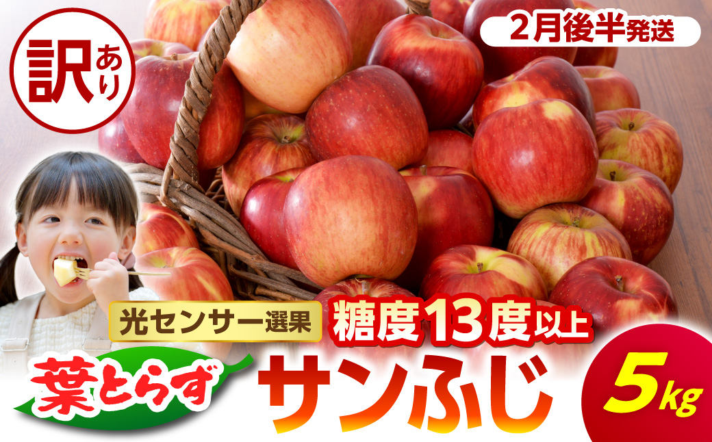 【2027年2月後半発送】【訳あり】青森県産 葉とらず サンふじ りんご 約5kg