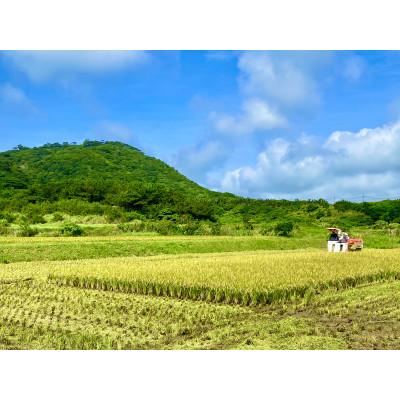 ふるさと納税 水戸市 新米　茨城県水戸市産　清衛門ーせいえもんー　精米5kg(新品種・ゆみはりづき)甘く、もっちり食感! |  | 01