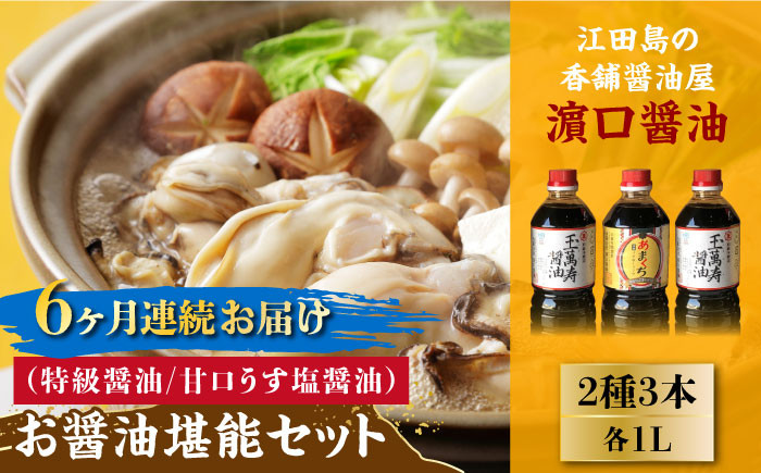 
【全6回定期便】一度使うと手放せない！！リピーター続出のお醤油堪能セット 1L×3本 料理 うす塩 健康 濃口 和食 江田島市/有限会社濱口醤油[XAA024]
