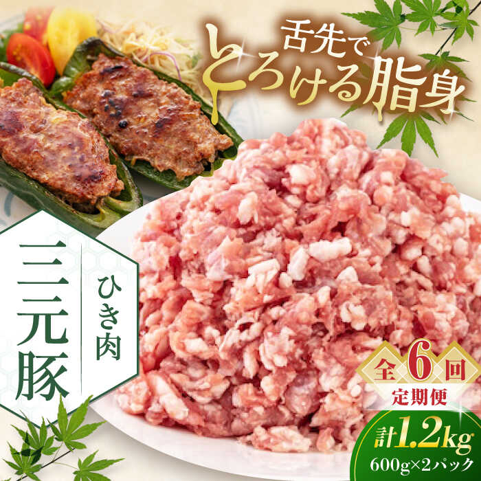 【ふるさと納税】 定期 三元豚 ひき肉1.2kg 600g×2パック ▼ 全6回 定期便 《喜茂別町》【平田牧場】 肉 豚肉 ミンチ 豚ミンチ 餃子 つくね 冷凍配送 定期便 定期 北海道 平田牧場 おすすめ [AJAP124] 78000 78000円