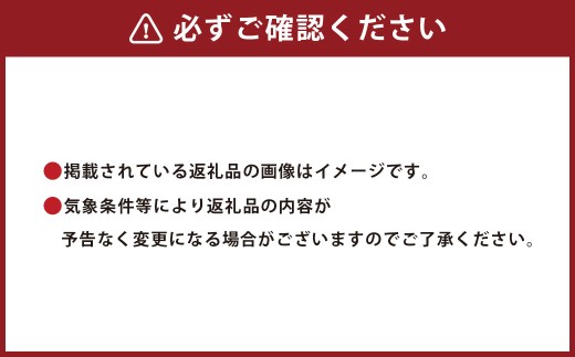 D2 【偶数月6回定期便】かくげつの逸品 特産品 旬 フルーツ 果物 野菜 セット 農産物 定期_イメージ4