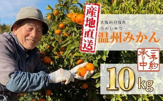 【2025年11月中旬から順次発送】季節の味覚！貝塚市産 温州みかん10kg