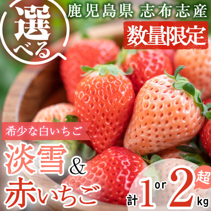 【ふるさと納税】〈先行予約受付中！〉【セット内容と内容量が選べる！】【数量限定】鹿児島県産いちご！淡雪・赤いちご（計1～2kg・約270g×4P～8P）選べる 白いちご 淡雪 赤いちご いちご 苺 イチゴ セット 食べ比べ 1kg 2kg 志布志市【農life】