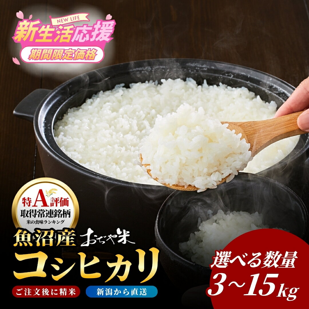 【ふるさと納税】米 コシヒカリ 白米 新潟県 特Aランク 令和7年産 魚沼産コシヒカリ 選べる容量 3kg 5kg 10kg 15kg 新潟産コシヒカリ おぢや米 お米 こしひかり 精米 ブランド米 鮮度抜群 JA魚沼 新潟 小千谷