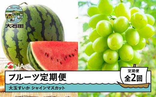 【先行予約】フルーツ定期便 全2回 大玉すいか シャインマスカット 2026年産 令和8年産  ※沖縄・離島への配送不可 ja-ft2ss-b