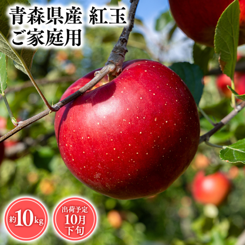2026年産１０月発送　【訳あり】家庭用紅玉10ｋｇ　【そと川りんご園・１０月・青森県産・平川市・りんご・紅玉・10ｋｇ・訳あり・家庭用】