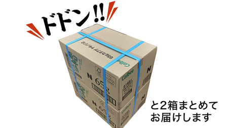 カルビー 堅あげポテト 焼きのり味 24袋 ( 2ケース ) 65g