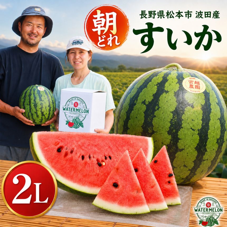 【ふるさと納税】信州名産 スイカ 長野県 波田産 西瓜 2L │ 信州 松本市 名産地 すいか 果物 野菜 フルーツ くだもの ふるーつ ふるさと納税 好食感 高糖度 甘い 美味しい 長野名物 特産品 夏果物