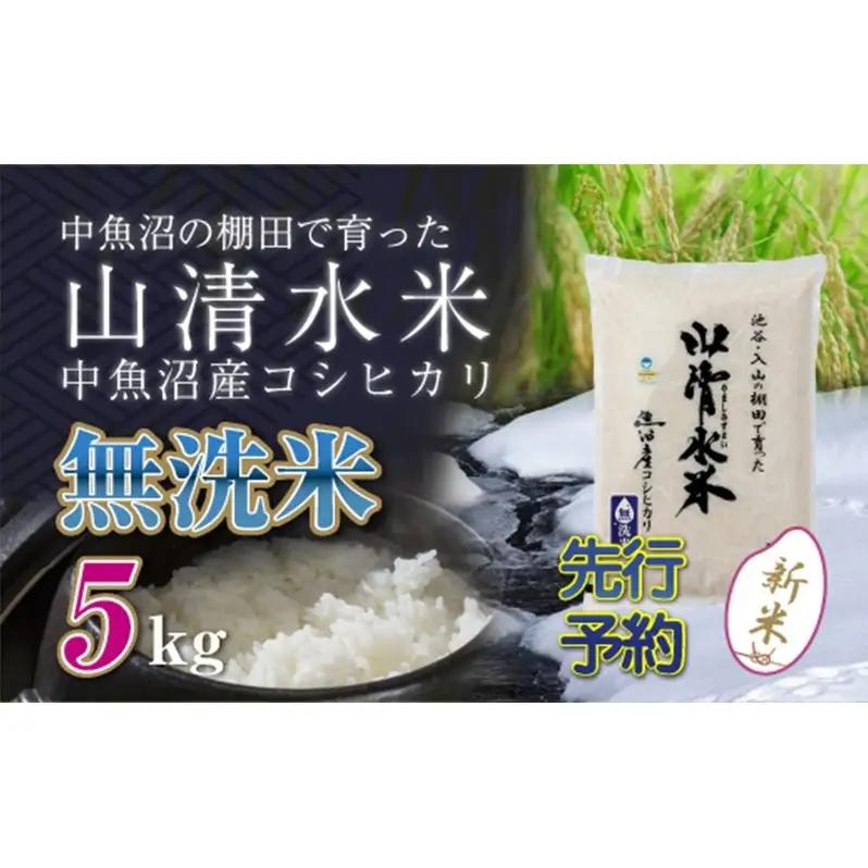 【令和8年産 先行予約】新潟県魚沼産コシヒカリ「山清水米」無洗米5kg