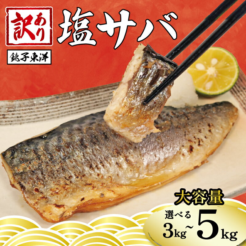 訳あり 塩サバ フィーレ 約3.5kg 冷凍 おかず 惣菜 鯖 さば 魚 海鮮 大容量 銚子 銚子東洋