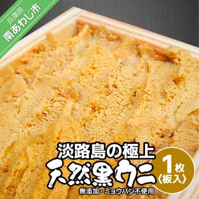 ふるさと納税 南あわじ市 先行受付【花光】淡路島の至極ウニ!天然黒ウニ(板入1枚)【無添加・ミョウバン不使用・期間/数量限定】