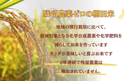 【令和8年 先行予約】魚沼産コシヒカリ棚田米 玄米10kg (10キロ×1) 佐藤農場 | 新潟県 コシヒカリ おこめ
