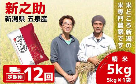 【令和6年産新米】〈12回定期便〉「わくわく農場」の五泉産 精米 新之助 5kg(5kg×1袋)［2024年10月下旬以降順次発送］ わくわく農場