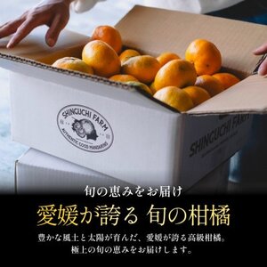 【発送月固定定期便】愛媛フルーツ旬の果物 プレミアム柑橘図鑑 農家直送【H70-148】全12回【4078089】
