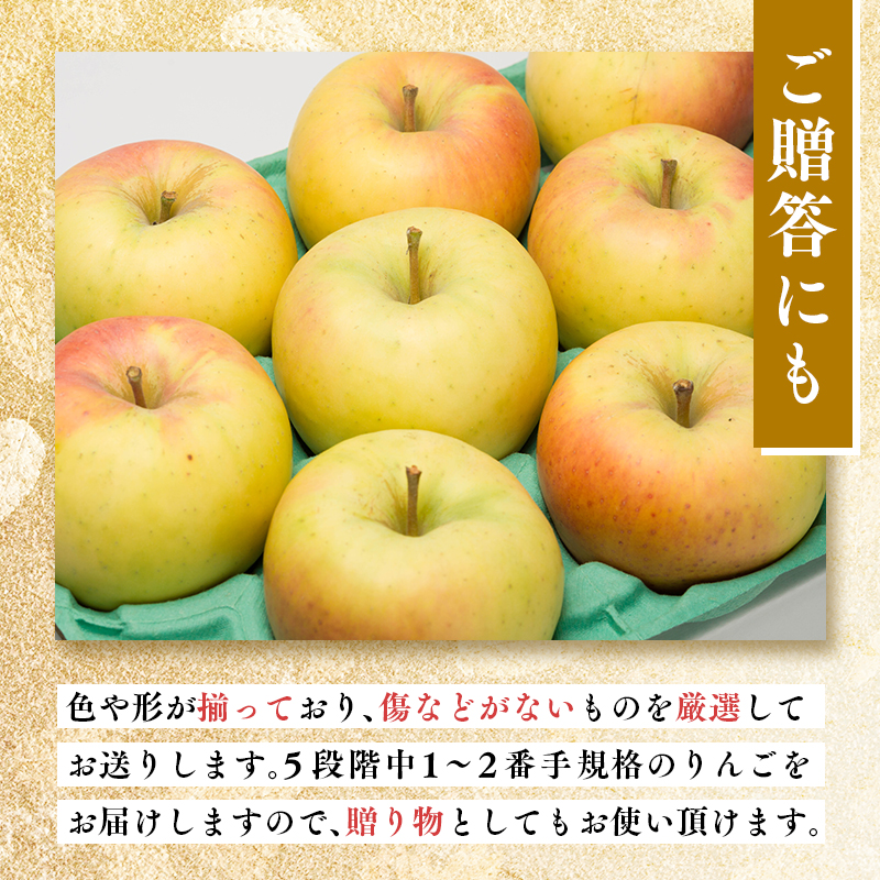 年明け発送 贈答用ぐんま名月約5kg（糖度証明書付き） 【那由多のりんご園・平川市産】