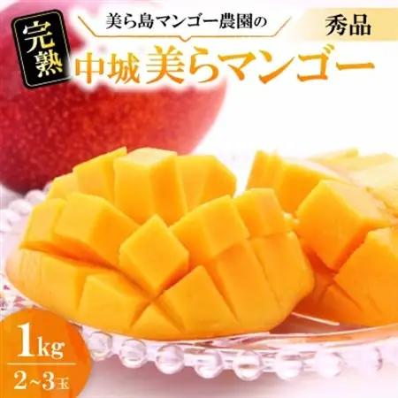【2026年6月から順次発送・贈答用】美ら島マンゴー農園の完熟中城美らマンゴー秀品1kg(2～3玉)【配送不可地域：離島】【1672805】