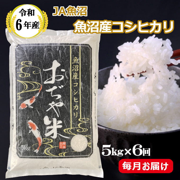 JA81P427 令和6年産魚沼産コシヒカリ定期便 5kg×6回（毎月お届け）（JA魚沼）白米 魚沼 米 定期便