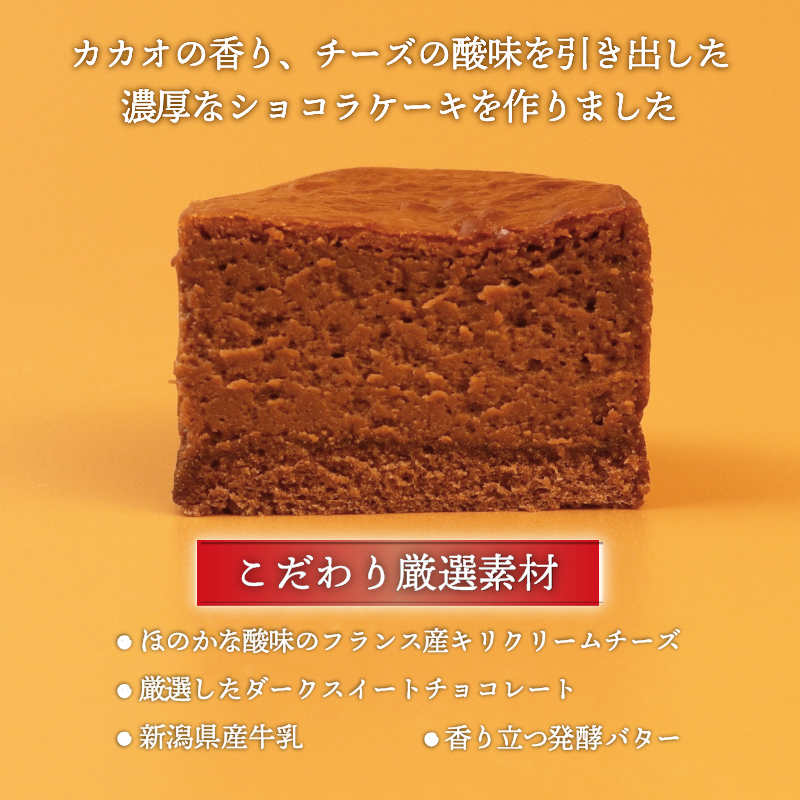 半熟スフレ ショコラケーキ 10個 5個入り 2箱 チョコレート ケーキ カカオ チーズ 贈答 ギフト おすすめ 菜菓亭 新潟銘菓 新潟 新発田 いえい 菜菓亭 洋菓子 お歳暮 iei002_02