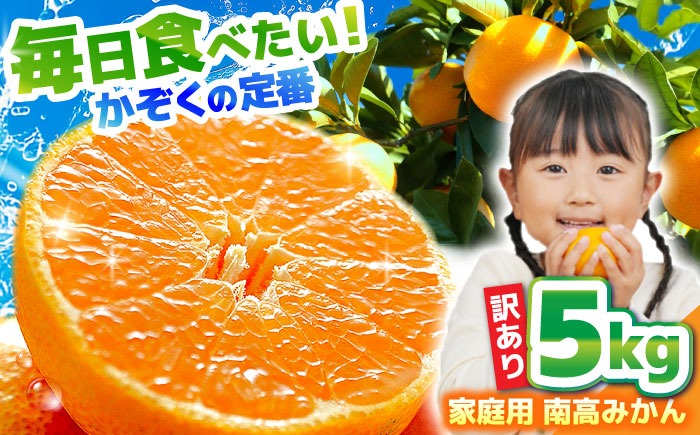 【2026年12月中旬～発送】【訳あり】家庭用 南高みかん 5kg / みかん ミカン 蜜柑 果物 フルーツ / 南島原市 / 南高果樹農業協同組合[SGI001]