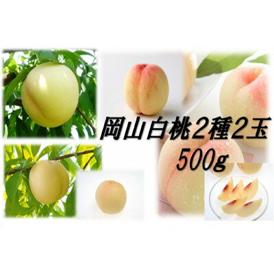 【ふるさと納税】岡山白桃食べ比べ　晩生2種2玉【配送不可地域：離島】【1684882】