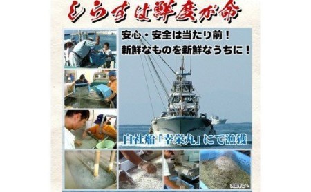 網元の天日干しちりめん約400g ちりめん50g×8袋の小分けタイプ 漁師直送の鹿児島県産ちりめん【A-1505H】