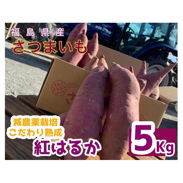 【ふるさと納税】サツマイモ　紅はるか　5Kg　サイズおまかせセット | 野菜 やさい 食品 人気 おすすめ 送料無料　FV002 さつまいも