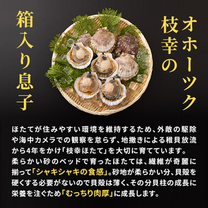 隔月全3回 定期便 プロも認めるオホーツクブランド「枝幸ほたて」冷凍貝柱1kg （4Sサイズ：51粒～60粒）枝幸漁協［2ヶ月毎にお届け］【 刺身 魚介 帆立 超目玉 魚貝類 貝類 海の幸 枝幸産 つ