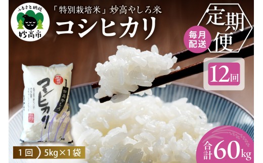 【先行予約】 令和8年産 【12ヵ月定期便】 新潟県 妙高やしろ米 コシヒカリ60kg (5㎏×12回) 【11月中旬より発送】 定期便 お米 米 コメ 精米 新潟 妙高市 米どころ こめ ご飯 ごはん ライス 弁当