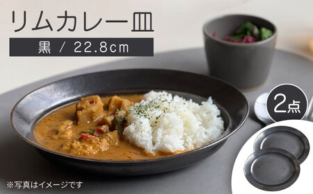 【瀬戸焼】リムカレー皿 2枚セット（黒）【株式会社カネ三商店】 / 皿 食器 カレー皿 ギフト プレゼント / 瀬戸市[BBDD014]