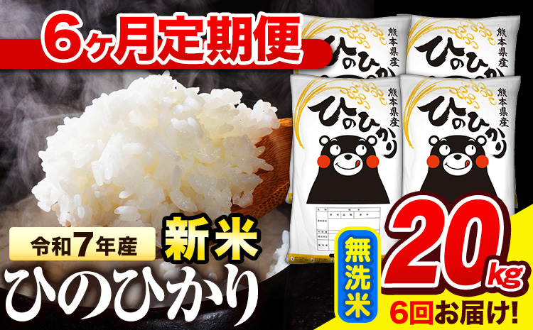 新米 令和7年産  無洗米 【6ヶ月定期便】 ひのひかり 20kg《11月から出荷開始》 熊本県産 無洗米 精米 氷川町 ひの 送料無料 ヒノヒカリ コメ 便利 ブランド米 お米 おこめ 熊本