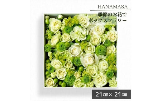 季節のお花でボックスアレンジメント（21cm×21cm）【 神奈川県 小田原市 】 142069_BN036