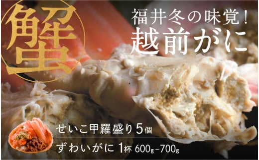 【選べる個数！産地直送】福井冬の味覚！越前がに（ずわいがに活 1杯）600～700g ＆ せいこ甲羅盛り5個　 [H-00918] / せいこ セイコガニ ズワイガニ ズワイ蟹 ずわい蟹 剥き身 脚 爪 脚 かにしゃぶ カニ鍋 蟹 お歳暮