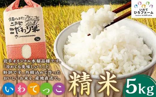 令和7年産 いわてっこ 精米 5kg ／ 米 お米 白米 ご飯 飯 こめ コメ 産地直送 産地 直送 国産 岩手県産