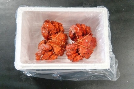 ＜12月22日決済分まで年内配送＞【北海道根室産】花咲ガニ350g×2尾 B-57028