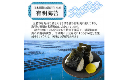 訳あり 有明海産 焼き海苔 半切り 200枚 （ 100枚 × 2 ） ご家庭用 | 魚貝類 海産物 海苔 のり 焼海苔 焼き海苔 半切り 熊本県 玉名市