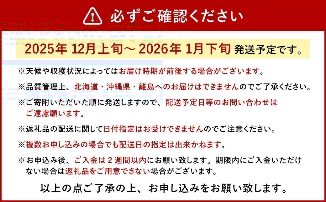 今季初採れあまおう 2パック【数量限定】