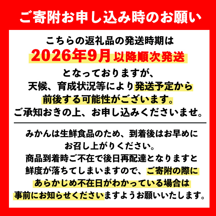 i093 ＜先行予約受付中！2026年9月以降順次発送予定＞ 鹿児島県産！ 極早生温州みかん(10kg) 温州みかん みかん 10kg 柑橘 種果物 くだもの フルーツ オレンジ 旬 国産 【JA鹿児