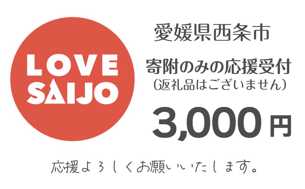 
            寄附のみの応援受付（返礼品なし：3,000円） 愛媛県 西条市 寄付
          