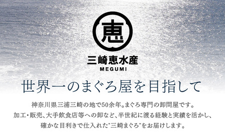【 7営業日以内に発送 】天然三崎まぐろ 赤身 切落し 500g（500g×1袋） M020-014-04 まぐろ 三崎まぐろ 鮪 マグロ 問屋直送 切り落とし お刺身 漬け丼 手巻き寿司 パーティー
