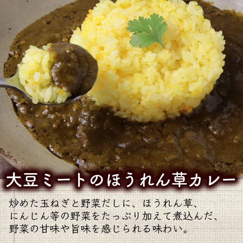 カゴメ Plant Based 大豆ミートのほうれん草カレー   10個入 ほうれん草カレー 大豆ミート レトルト レトルト食品 野菜 豆 プラントベース 植物性 植物由来 maruyama025