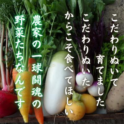 ふるさと納税 西桂町 【発送月固定定期便】新鮮野菜!農家厳選の旬のお野菜セット約5〜8種類を約3kg〜5kg全3回 |  | 01