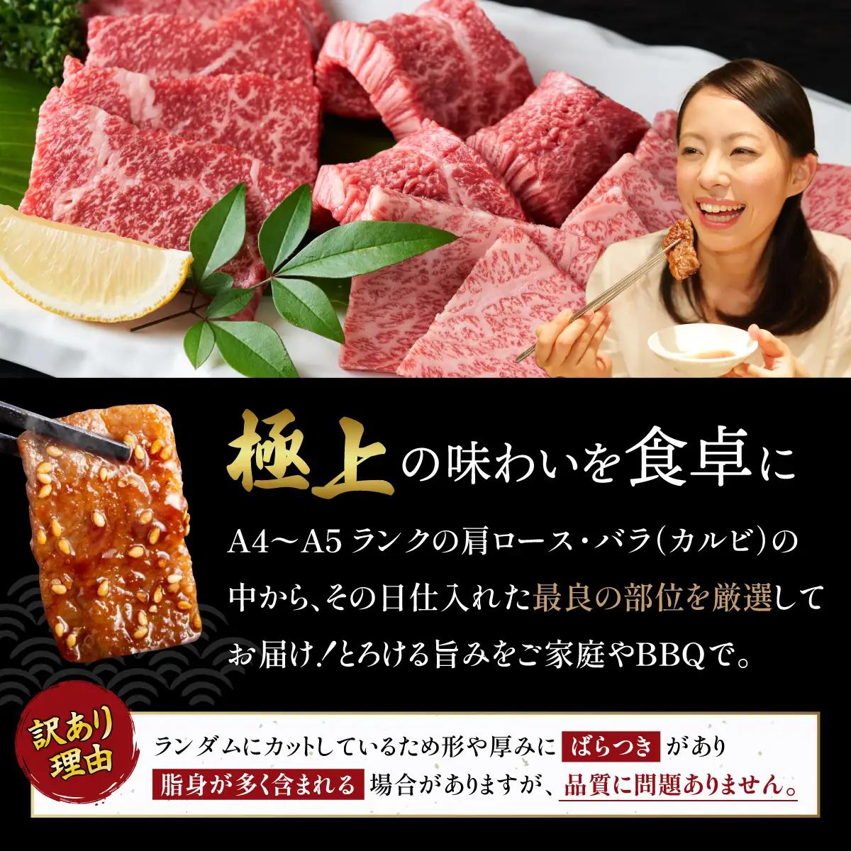 訳あり 佐賀牛焼肉切り落とし1kg（500g×2P）