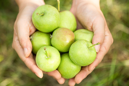 廃棄されてきたりんごを活用した テキカカシードル ライチ & アップルソーダ 計6本セット 330ml×各3本