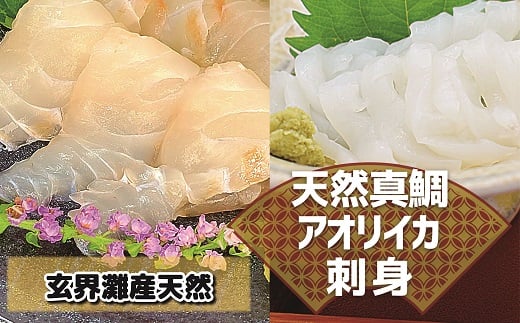 
どっちも食べタイカ！！ お刺身セット600g（天然真鯛・アオリイカ各300g）[D0067a]
