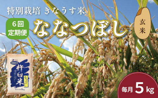 【玄米6ヶ月定期便】特別栽培「きなうす米」ななつぼし5kg×6回　K006