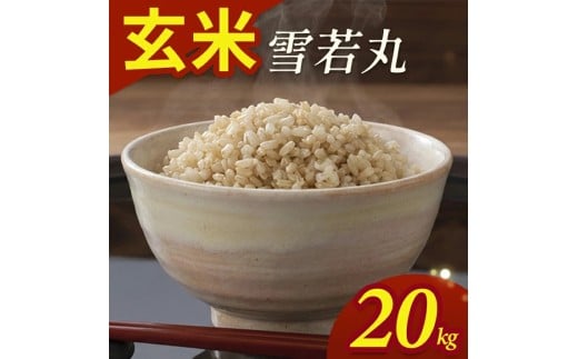 令和7年産【玄米】雪若丸　20kg(5kg×4袋) YA SF0350