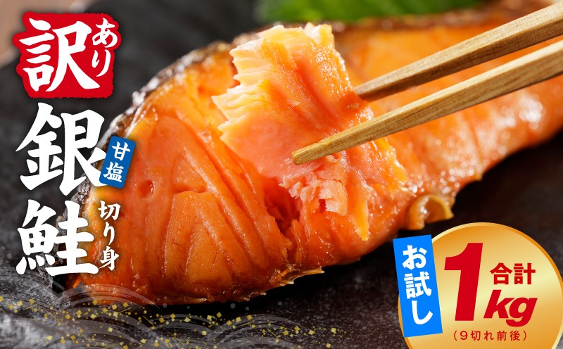 kgp0125 銀鮭 切り身 1kg 9切れ前後【お試し TVで紹介 訳あり サイズ不揃い 海鮮 魚介 鮭 さけ しゃけ お弁当 簡単調理】