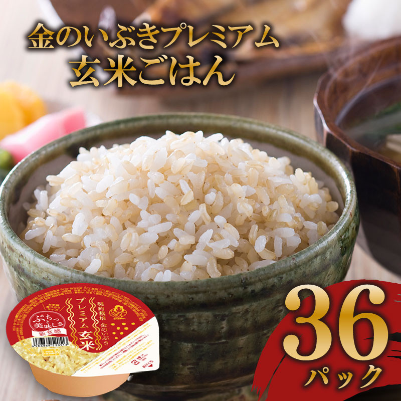
            玄米ごはんパック 120g 36個 玄米 米 お米 ごはん ご飯 こめ パックライス パックご飯 パックごはん ご飯パック ごはんパック パック ライス 備蓄 保存 非常 防災 電子 レンジ 温めるだけ レンチン 簡単 健康 ダイエット 美容 ヘルシー 36 36食 レトルト インスタント おいしい 人気 おすすめ 金のいぶき 大阪府 松原市
          
