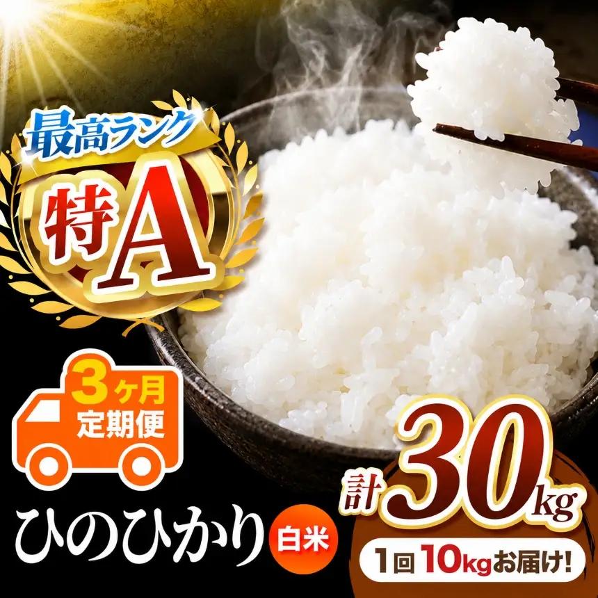 【 定期便 3回 】 R7年産 熊本県産 白米 ひのひかり 10kg